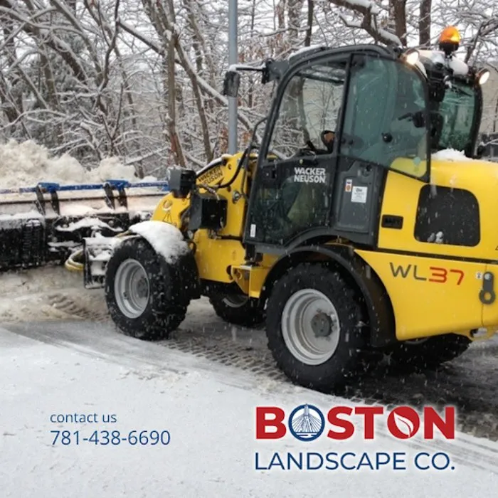 Trusted yard cleanup service experts serving Stoneham, MA - Boston Landscape