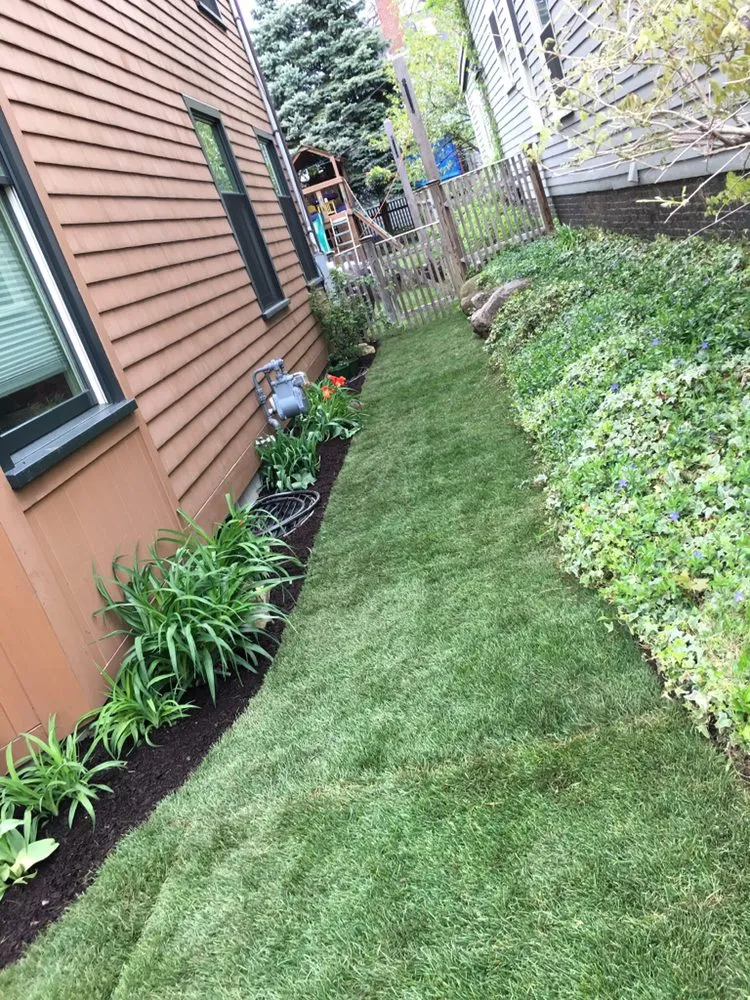 Reliable yard cleanup service in Watertown, MA - Boston Landscaping and Lawn Specialist