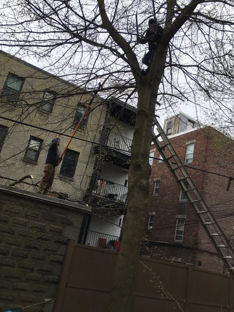 Local landscape installation experts serving Watertown, MA - Boston Landscaping and Lawn Specialist