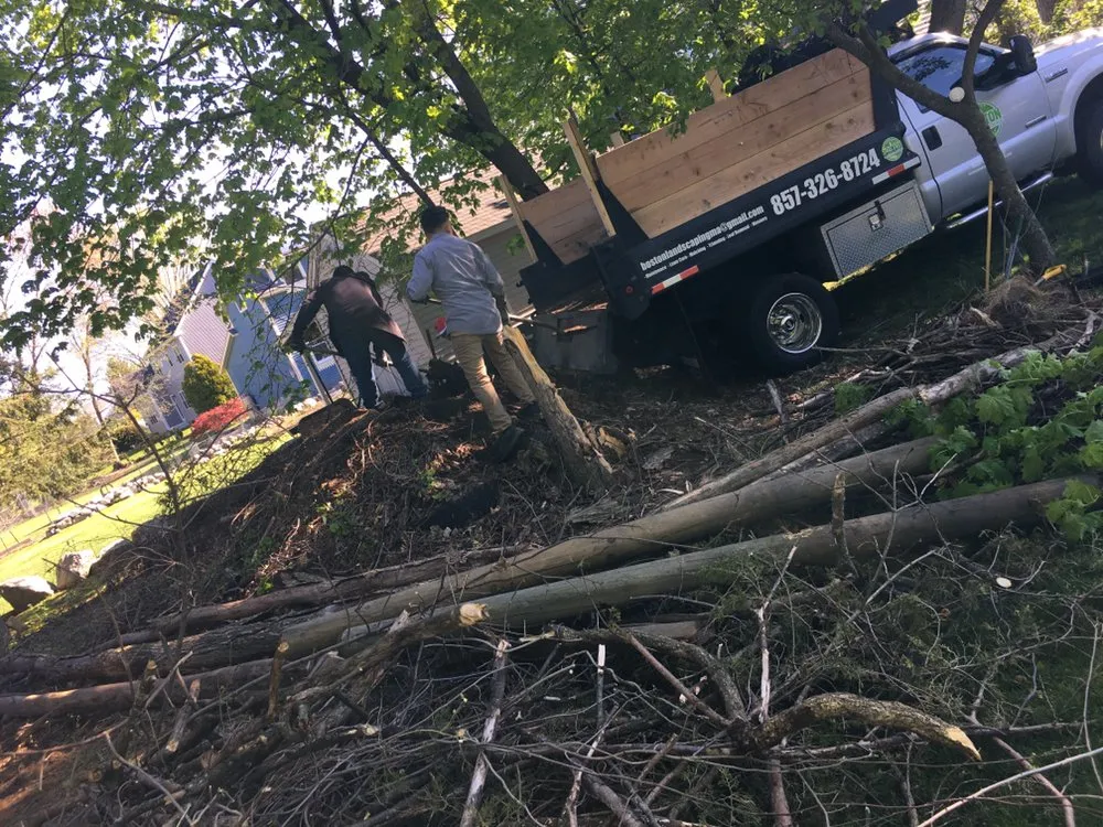 Reliable landscaping services for outdoor upgrades in Watertown, MA by Boston Landscaping and Lawn Specialist