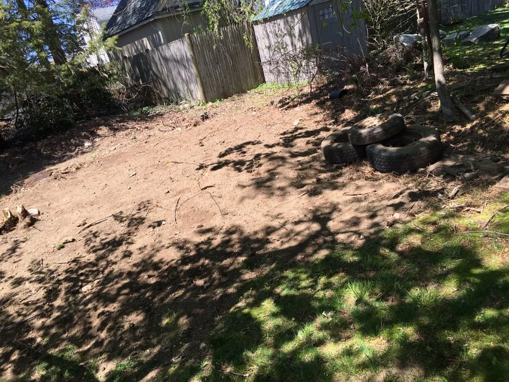 Expert landscape installation in Watertown, MA by Boston Landscaping and Lawn Specialist