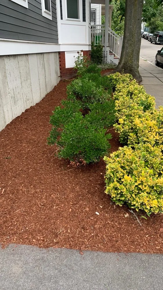 Affordable outdoor landscaping in Watertown, MA - Boston Landscaping and Lawn Specialist