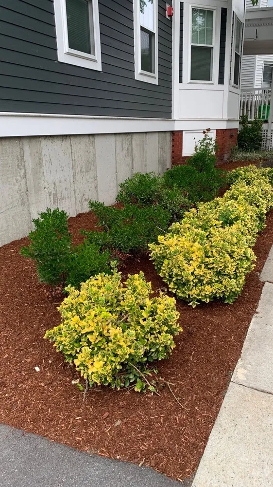 Expert lawn mowing service near you across Watertown, MA - Boston Landscaping and Lawn Specialist