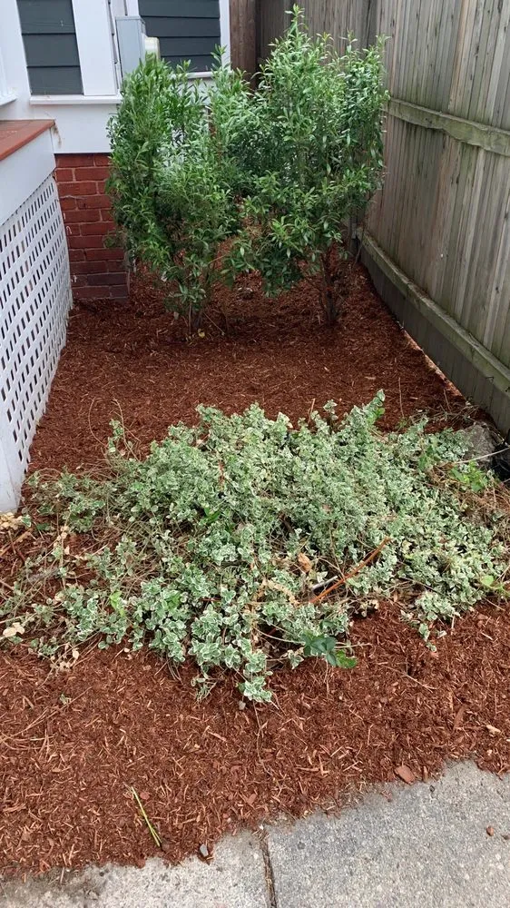 Local yard maintenance in Watertown, MA - Boston Landscaping and Lawn Specialist