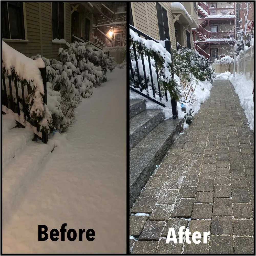 Custom yard cleanup service for year-round maintenance across Boston, MA - Boston Snow Removal and Landscaping