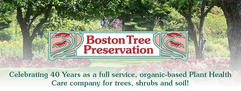 Custom landscape design with custom design in Woburn, MA by Boston Tree Preservation