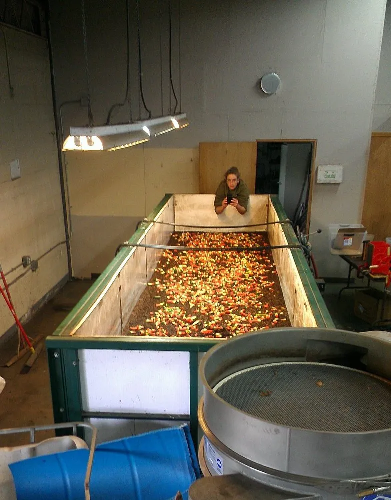 Expert yard cleanup service in Woburn, MA by Boston Tree Preservation