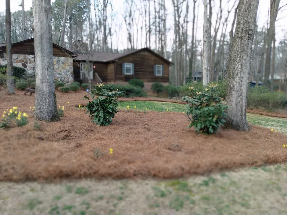 Local lawn care service for residential properties in Maysville, GA by Boswell Outdoor Services