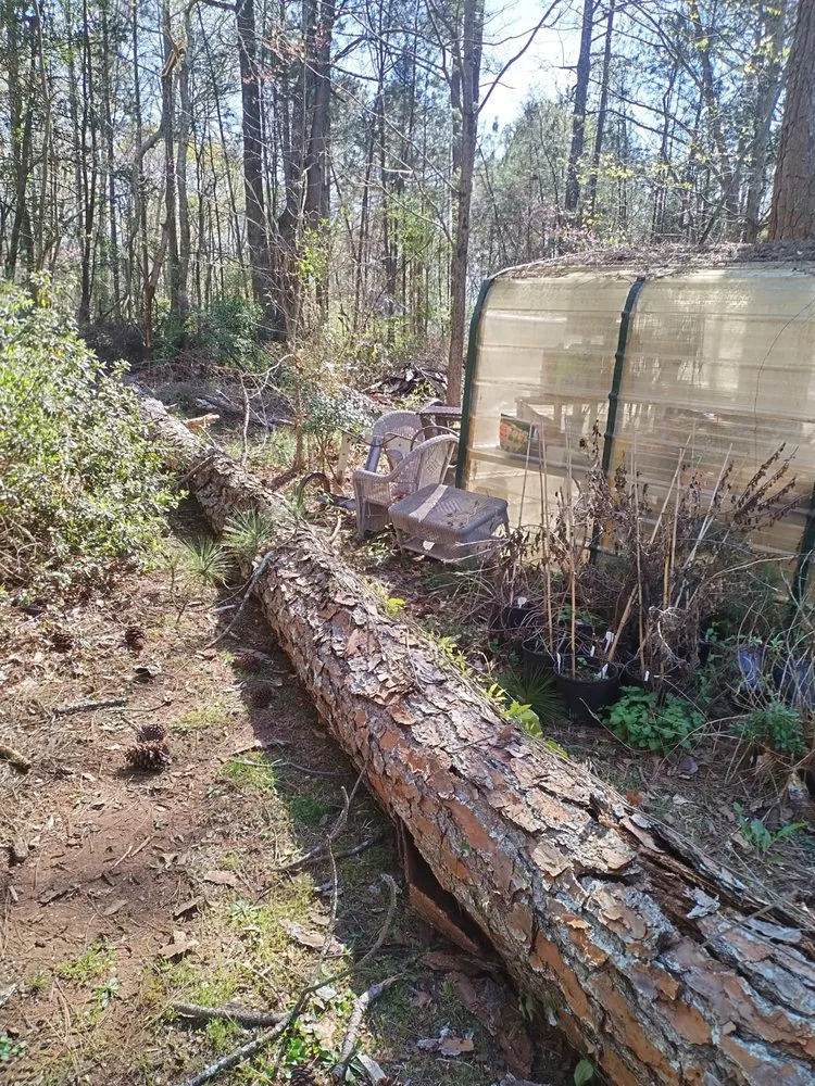 Reliable landscape design experts serving Maysville, GA - Boswell Outdoor Services