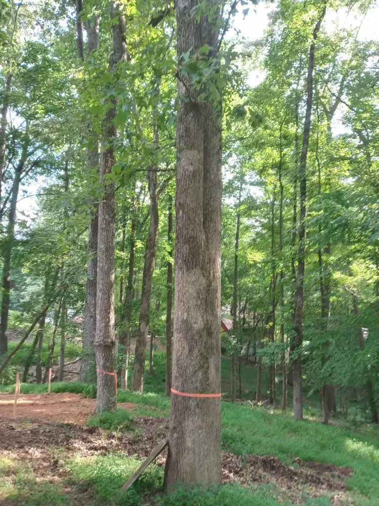 Top-rated lawn care service in Maysville, GA - Boswell Outdoor Services