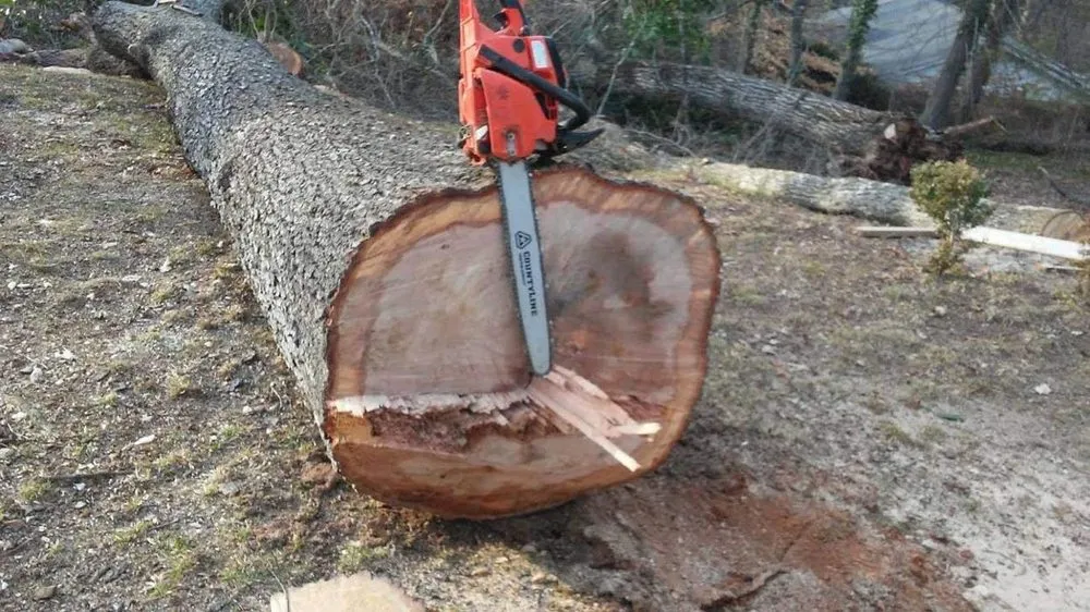 Local lawn care service near you in Maysville, GA by Boswell Outdoor Services