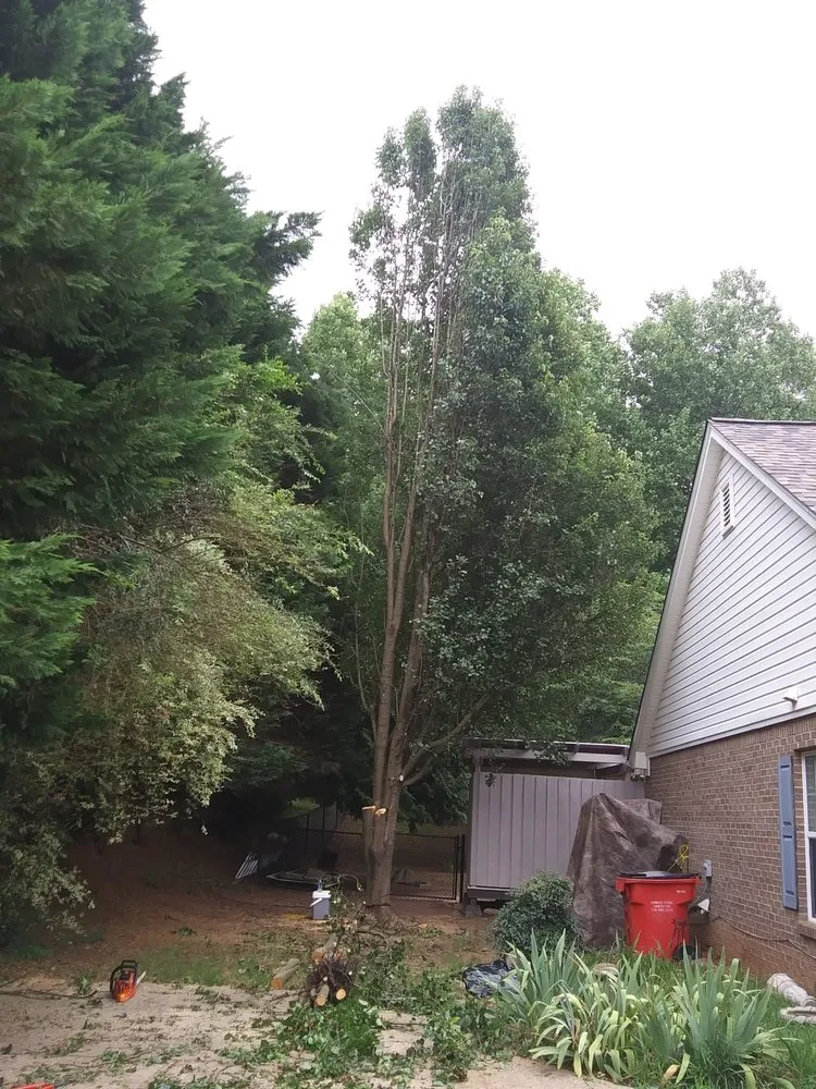 Professional landscape installation for year-round maintenance in Maysville, GA by Boswell Outdoor Services