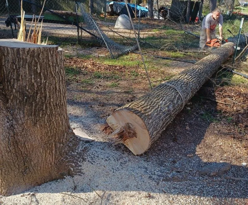 Affordable landscape installation in Maysville, GA - Boswell Outdoor Services