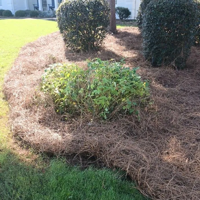 Expert landscape installation experts serving Maysville, GA - Boswell Outdoor Services