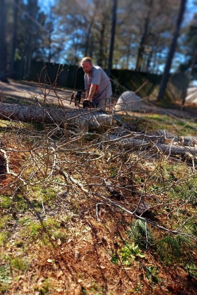 Top-rated lawn care service for beautiful yards in Maysville, GA by Boswell Outdoor Services