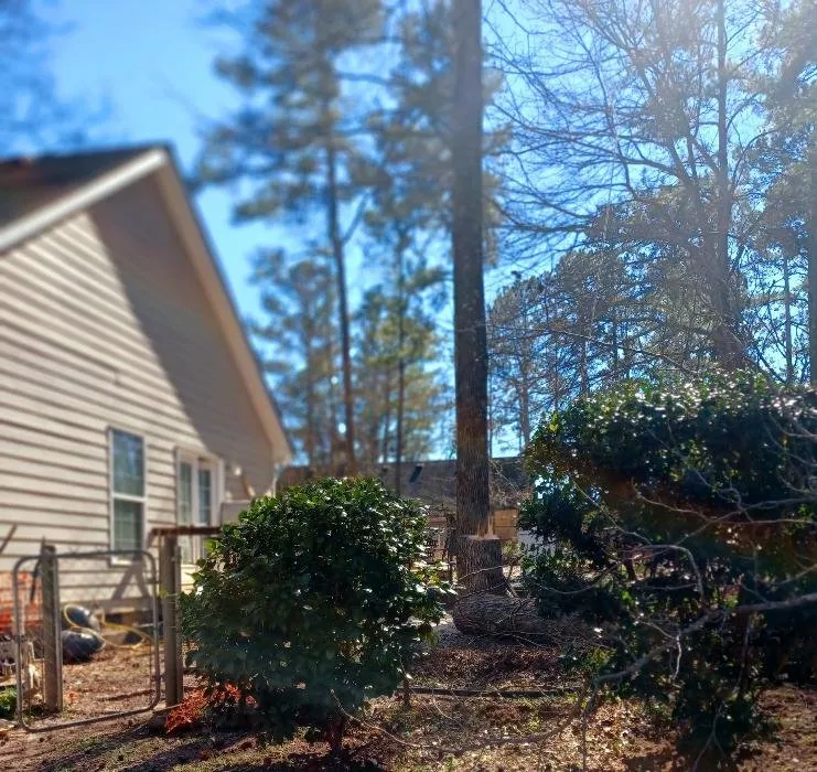 Top-rated lawn care service with custom design across Maysville, GA - Boswell Outdoor Services