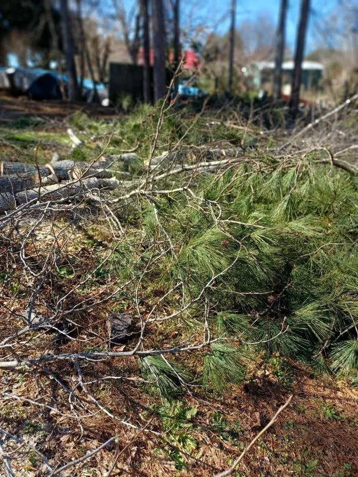 Top-rated lawn care service experts serving Maysville, GA - Boswell Outdoor Services