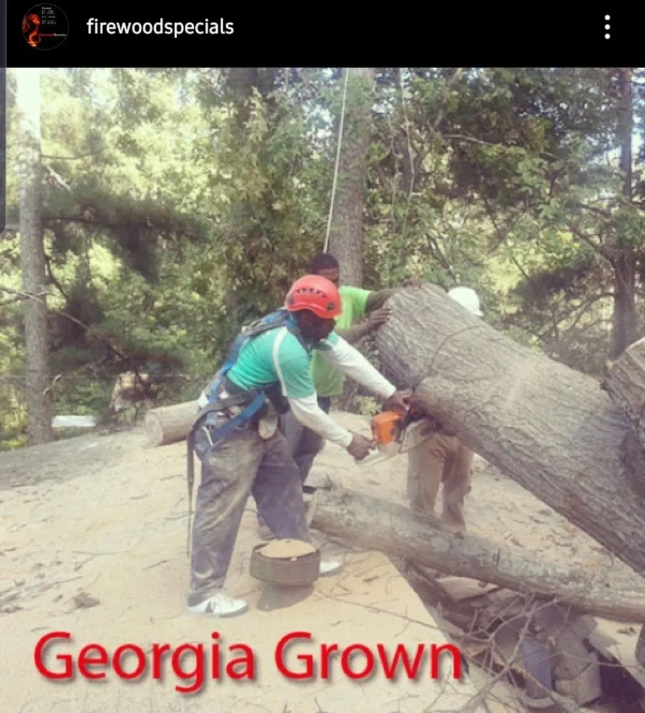 Reliable landscaping services for outdoor upgrades across Decatur, GA - Boswell Tree Service