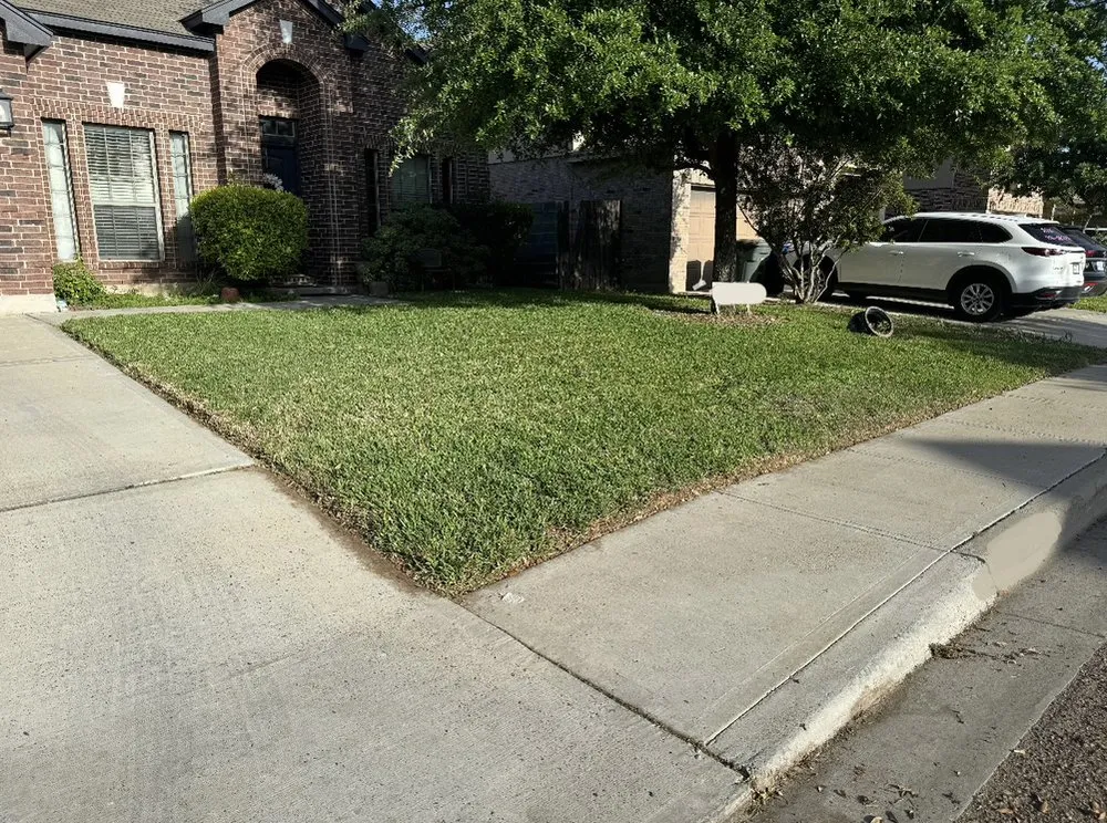 Expert yard cleanup service in Laredo, TX - Boswells Lawn Care
