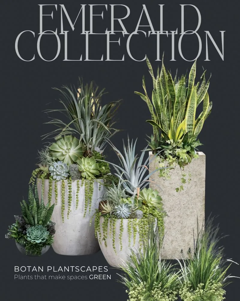 Local residential landscaping for beautiful yards in Santa Rosa Beach, FL by Botan PlantScapes