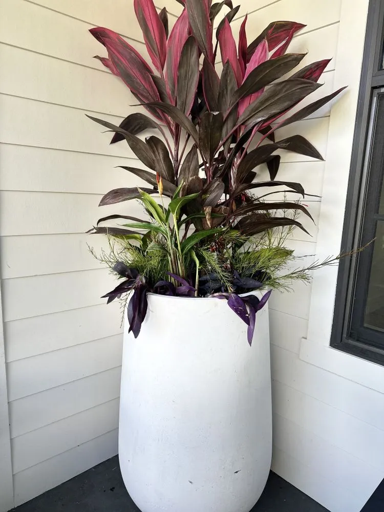 Affordable garden landscaping in Santa Rosa Beach, FL - Botan PlantScapes