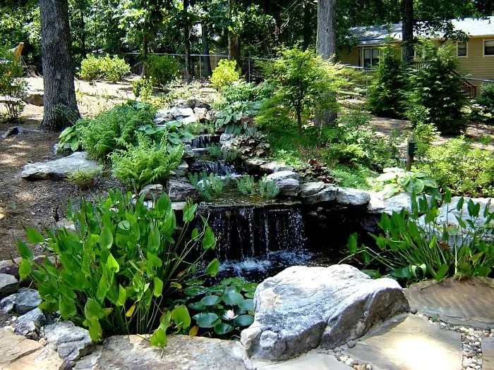 Top-rated landscape design experts serving Atlanta, GA - Botanica Atlanta Landscape Design