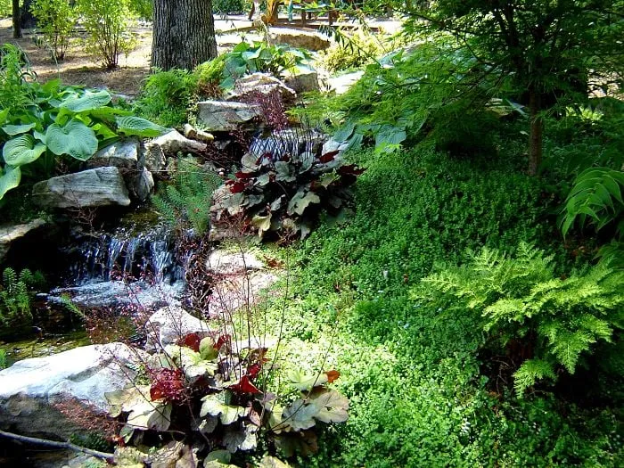Affordable yard maintenance in Atlanta, GA - Botanica Atlanta Landscape Design