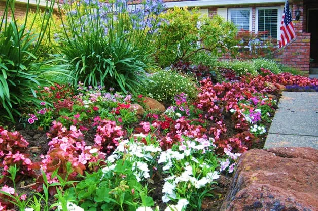 Professional residential landscaping with custom design across Yuba City, CA - Botanica Landscapes