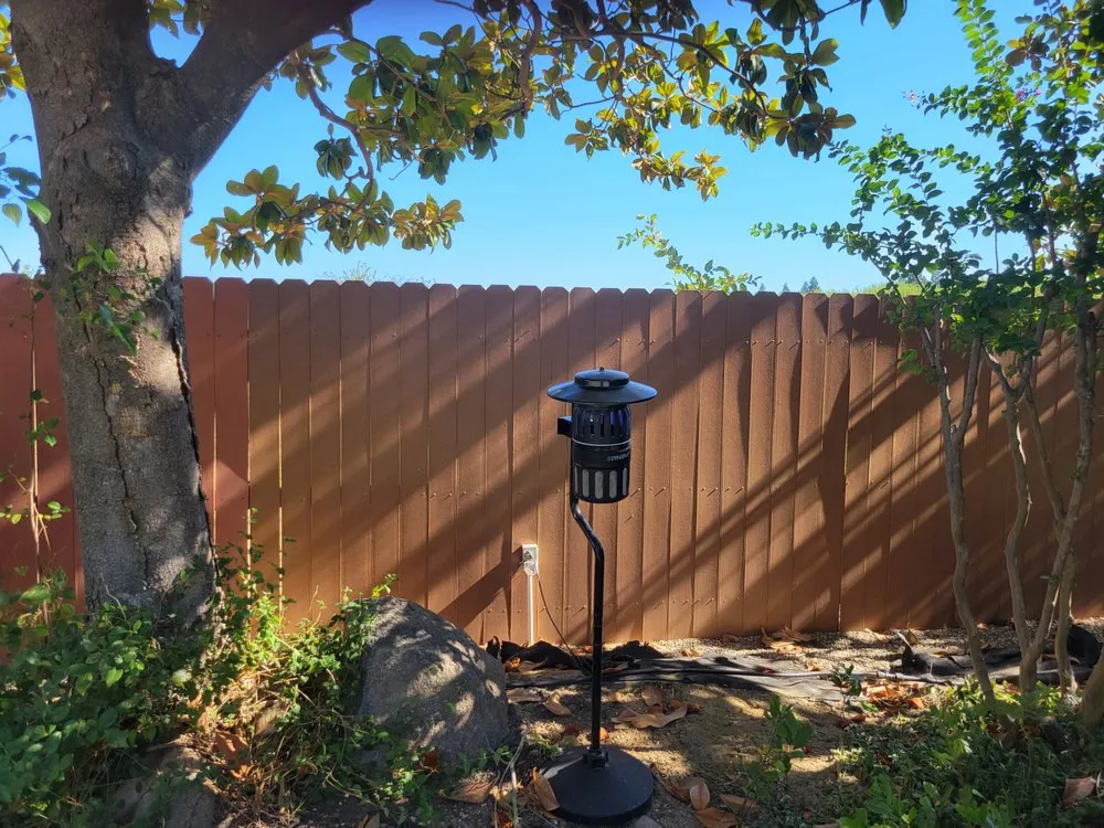 Local yard maintenance in Yuba City, CA by Botanica Landscapes