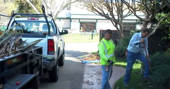 Expert lawn care service in Yuba City, CA by Botanica Landscapes