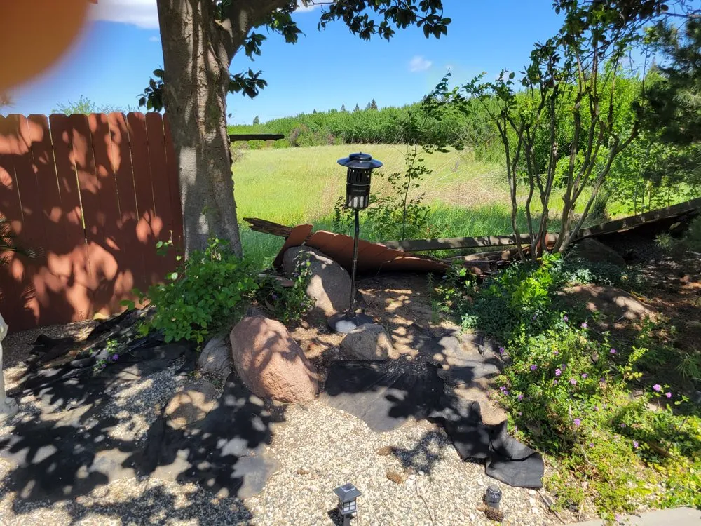 Top-rated outdoor landscaping for year-round maintenance across Yuba City, CA - Botanica Landscapes