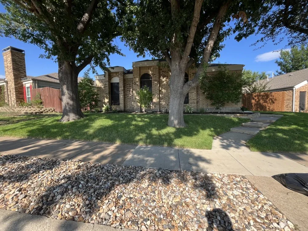 Affordable outdoor landscaping in Fort Worth, TX - Botanical Artistry