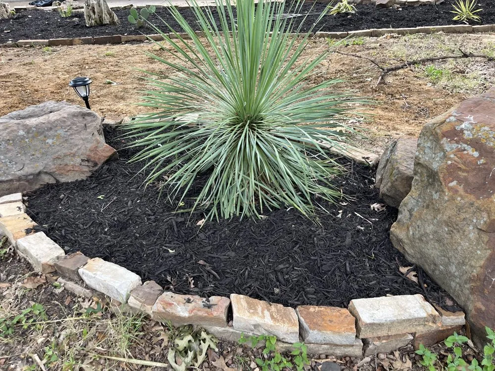 Expert residential landscaping experts serving Fort Worth, TX - Botanical Artistry