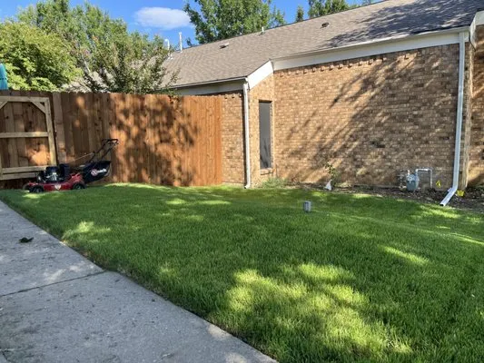 Botanical Artistry Logo