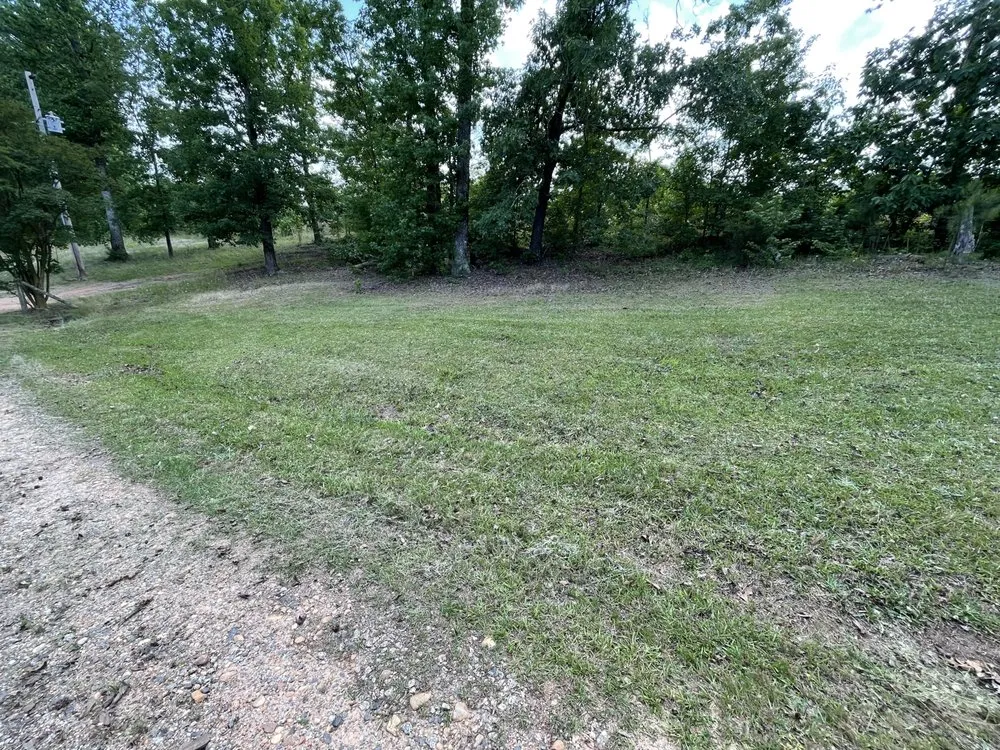 Affordable landscape installation in Rockingham, NC by Botanical Bros.