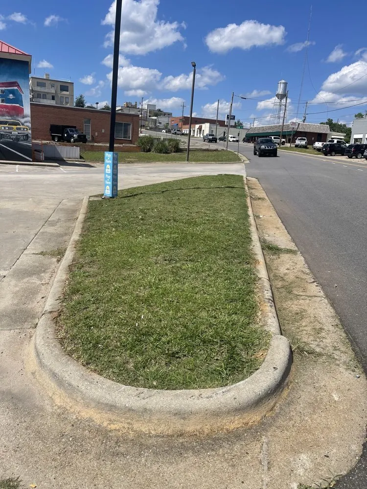 Expert garden landscaping for residential properties in Rockingham, NC by Botanical Bros.