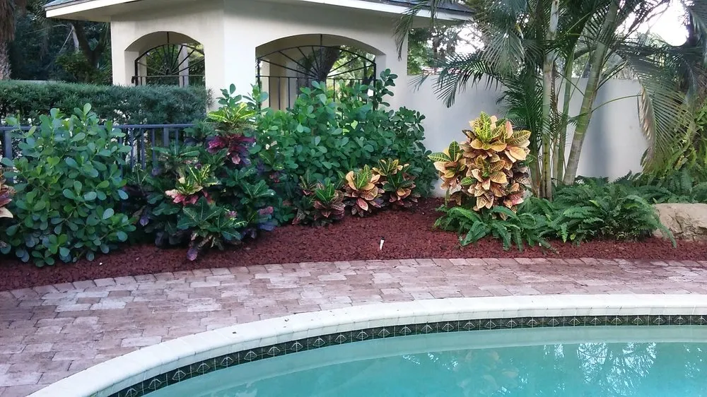 Top-rated landscaping services in Lake Worth, FL - Botanical Bruce & Co.