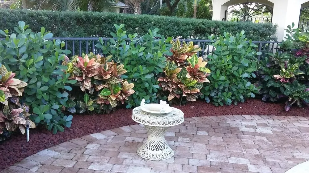Affordable yard maintenance for beautiful yards in Lake Worth, FL by Botanical Bruce & Co.