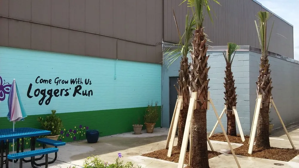 Professional landscape installation experts serving Lake Worth, FL - Botanical Bruce & Co.