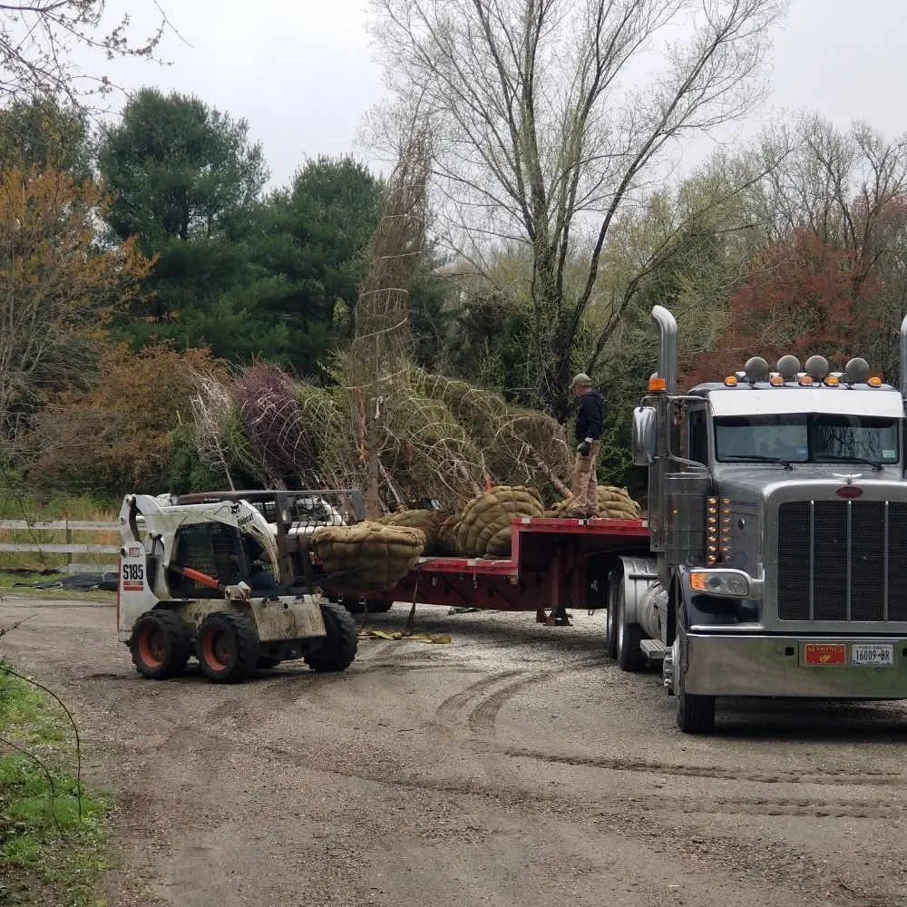 Custom landscaping services experts serving West Kingston, RI - Botanical Creations Nursery