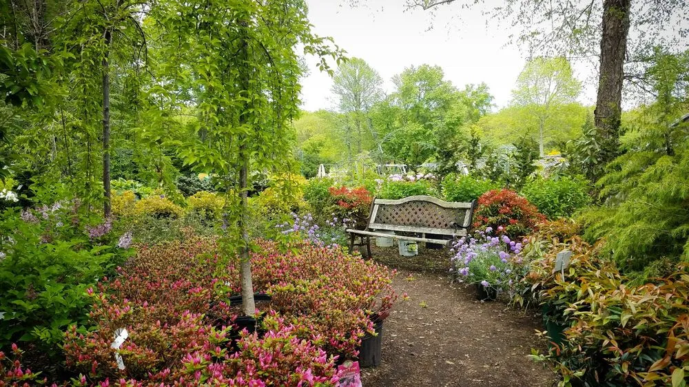 Local lawn care service experts serving West Kingston, RI - Botanical Creations Nursery