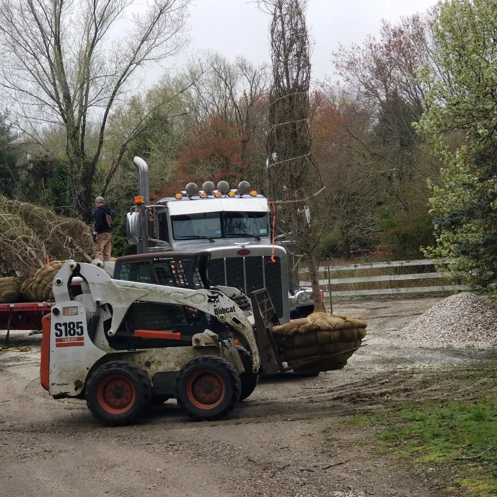 Affordable yard cleanup service for homes in West Kingston, RI by Botanical Creations Nursery