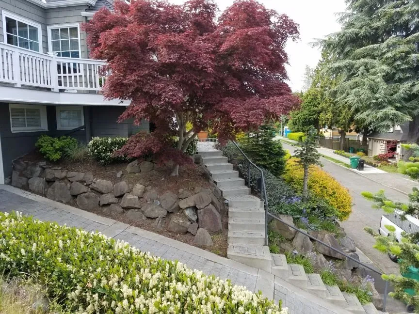 Reliable landscaping services experts serving Seattle, WA - Botanical Sam's