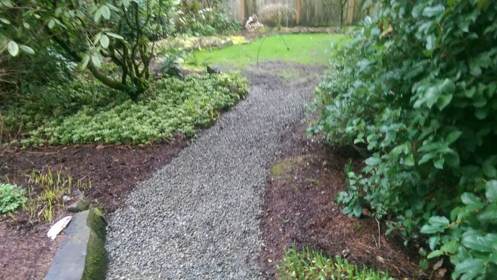 Affordable outdoor landscaping in Seattle, WA by Botanical Sam's