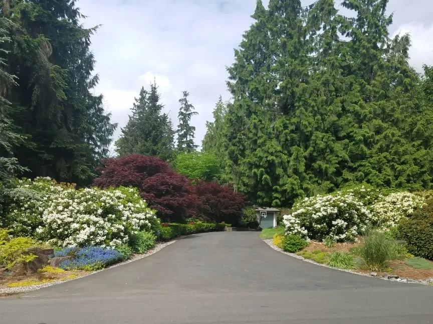 Top-rated landscaping services for beautiful yards in Seattle, WA by Botanical Sam's