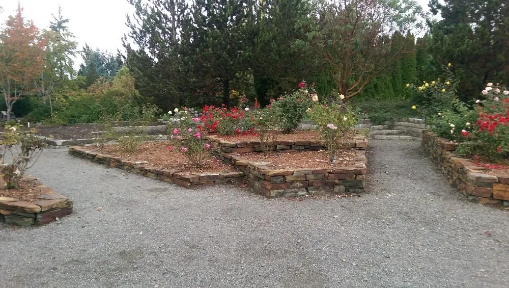 Top-rated yard cleanup service in Seattle, WA - Botanical Sam's