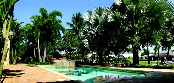 Botanical Visions Logo