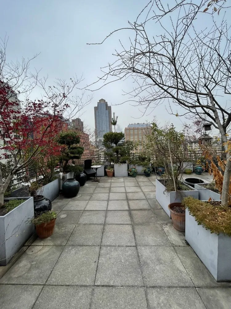 Local yard maintenance for outdoor upgrades across Bronx, NY - Botaniculture