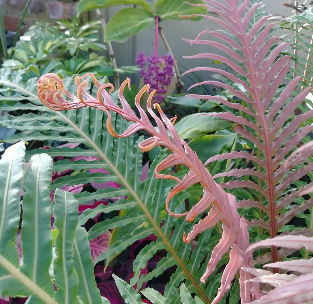 Top-rated landscape design in Bronx, NY - Botaniculture