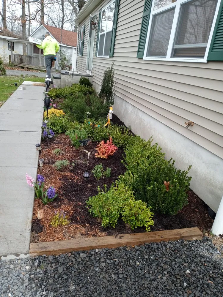 Custom yard cleanup service experts serving Bronx, NY - Botaniculture